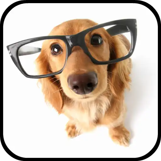 Play Dog Breeds Encyclopedia APK Play Dog Breeds Encyclopedia APK