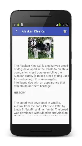 Play Dog Breeds Encyclopedia as an online game Dog Breeds Encyclopedia with UptoPlay