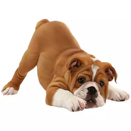 Free play online Dog Breeds Profile APK Free play online Dog Breeds Profile APK