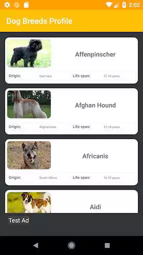 Play Dog Breeds Profile