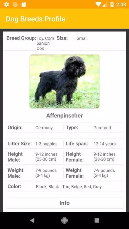 Play Dog Breeds Profile