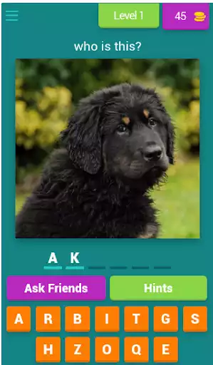 Play dog breeds quiz  and enjoy dog breeds quiz with UptoPlay