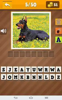 Play Dog breeds - quiz