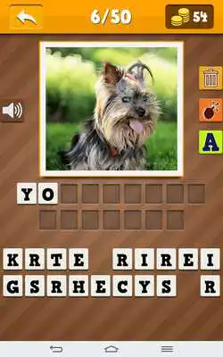 Play Dog breeds - quiz