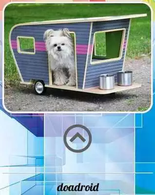 Play Dog Cage Design Ideas Play Dog Cage Design Ideas