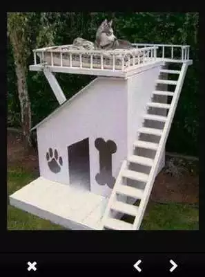 Play Dog Cage Design Ideas Play Dog Cage Design Ideas