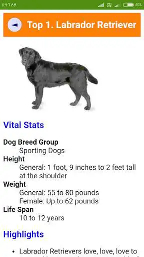 Play Dog Care Book as an online game Dog Care Book with UptoPlay