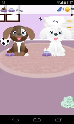 Play dog care games