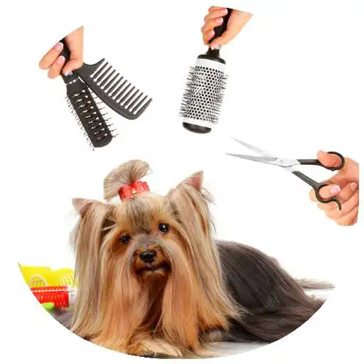 Play Dog Care & Grooming Guide APK Play Dog Care & Grooming Guide APK