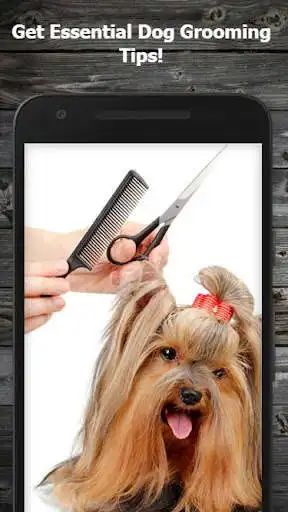 Play Dog Care & Grooming Guide  and enjoy Dog Care & Grooming Guide with UptoPlay