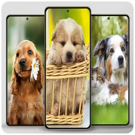 Play Dog cute wallpapers APK