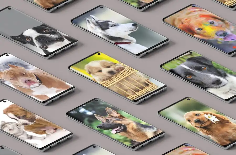 Play Dog cute wallpapers  and enjoy Dog cute wallpapers with UptoPlay