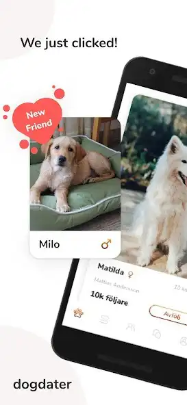 Play DogDater  and enjoy DogDater with UptoPlay