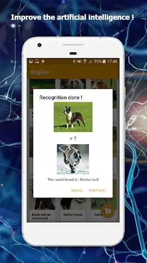Play DogDex - Automatic dog breed recognition as an online game DogDex - Automatic dog breed recognition with UptoPlay