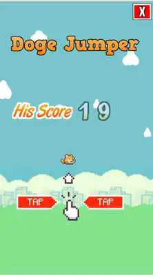 Play Doge Jumper
