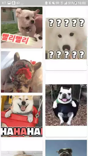 Play Dog Emoji - Free Dog gif by emobe as an online game Dog Emoji - Free Dog gif by emobe with UptoPlay