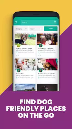 Play Dog Furiendly  and enjoy Dog Furiendly with UptoPlay