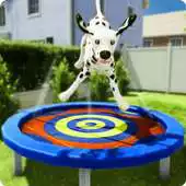 Free play online Dog Games 2018 - Free Dog Simulator APK
