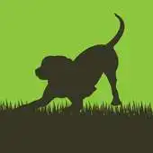 Free play online Doggie Basics APK