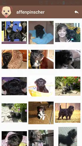 Play Doggie Finder as an online game Doggie Finder with UptoPlay