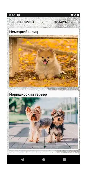 Play DoggieHappy and enjoy DoggieHappy with UptoPlay Play DoggieHappy and enjoy DoggieHappy with UptoPlay