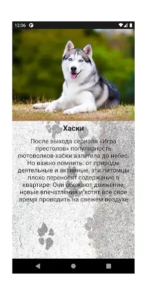 Play DoggieHappy as an online game online DoggieHappy with UptoPlay Play DoggieHappy as an online game DoggieHappy with UptoPlay