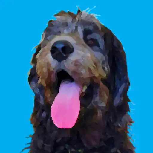 Play DoggoLingo-Dog Text Translator APK