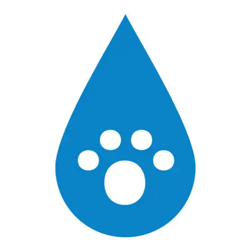 Play DoggoWash APK Play DoggoWash APK