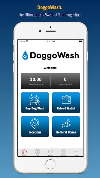 Play DoggoWash  and enjoy DoggoWash with UptoPlay