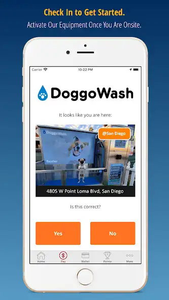 Play DoggoWash as an online game DoggoWash with UptoPlay