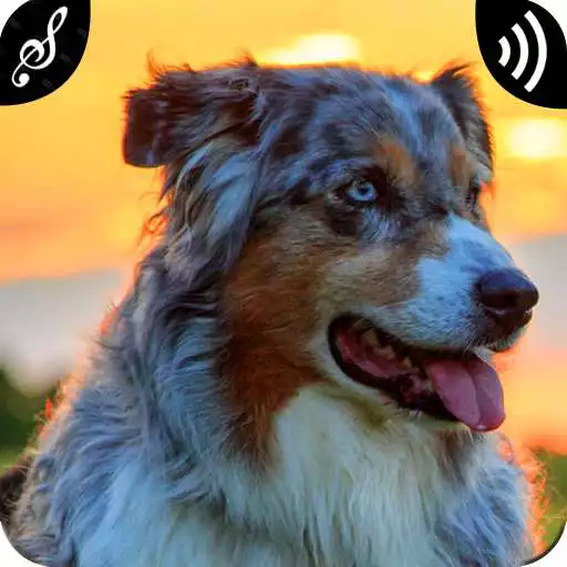 Play Dog Growling Sounds APK Play Dog Growling Sounds APK