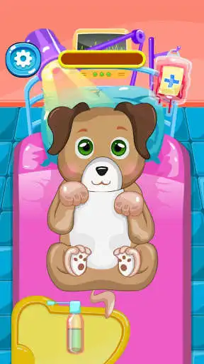 Play Doggy Doctor - Pet Vet Game as an online game Doggy Doctor - Pet Vet Game with UptoPlay
