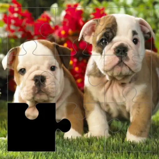Play Doggy Puzzles APK
