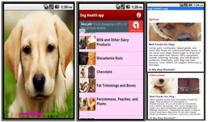 Play dog health app