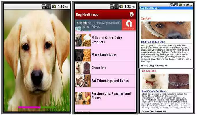 Play dog health app