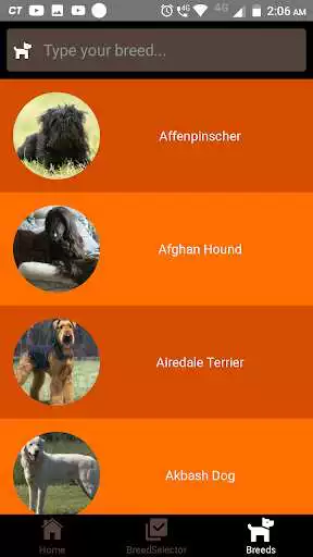 Play Dogipedia - Dog breed selector and list of breeds  and enjoy Dogipedia - Dog breed selector and list of breeds with UptoPlay