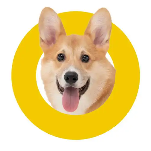 Play Dogito APK