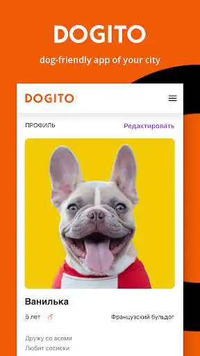 Play Dogito  and enjoy Dogito with UptoPlay