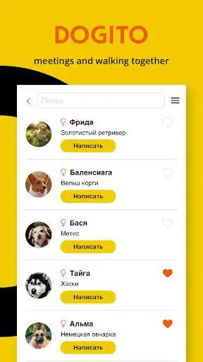 Play Dogito as an online game Dogito with UptoPlay