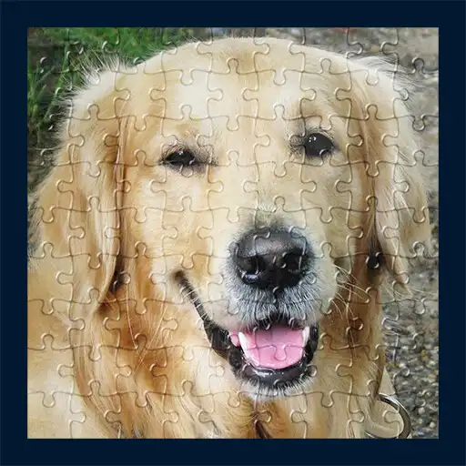 Play Dog Jigsaw Puzzle Game APK
