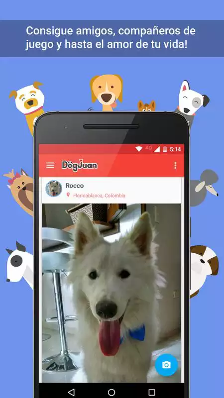 Play DogJuan - Dog Social Network