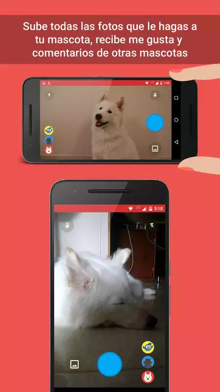 Play DogJuan - Dog Social Network