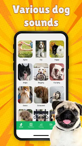Play Dog Language Translator as an online game Dog Language Translator with UptoPlay