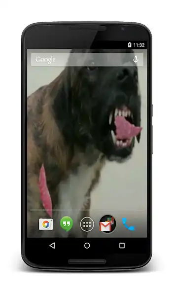 Play Dog Licks Screen Video LWP as an online game Dog Licks Screen Video LWP with UptoPlay
