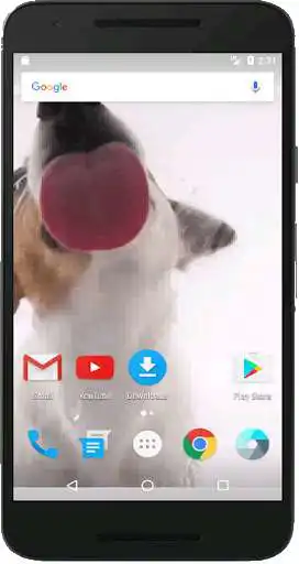 Play Dog Licks Screen Wallpaper