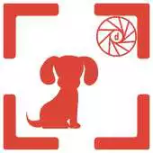 Free play online doglight - Groomers APK Free play online doglight - Groomers APK