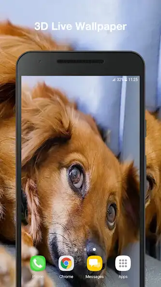 Play Dog Live Wallpaper Pro  and enjoy Dog Live Wallpaper Pro with UptoPlay
