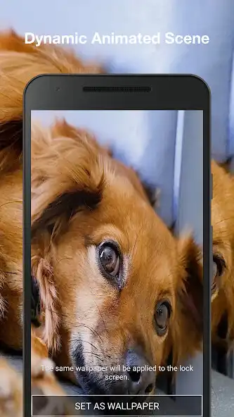 Play Dog Live Wallpaper Pro as an online game Dog Live Wallpaper Pro with UptoPlay