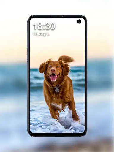 Play Dog Lock Screen  and enjoy Dog Lock Screen with UptoPlay