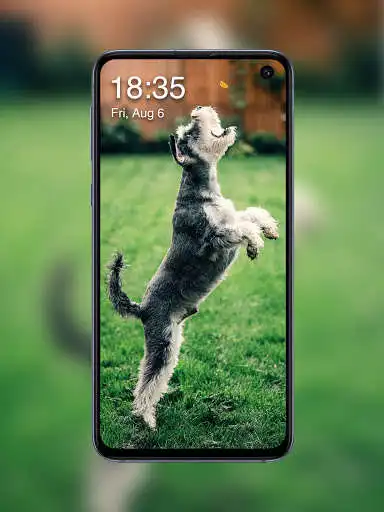 Play Dog Lock Screen as an online game Dog Lock Screen with UptoPlay